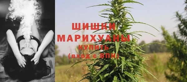 ГАЛЛЮЦИНОГЕННЫЕ ГРИБЫ Белоозёрский
