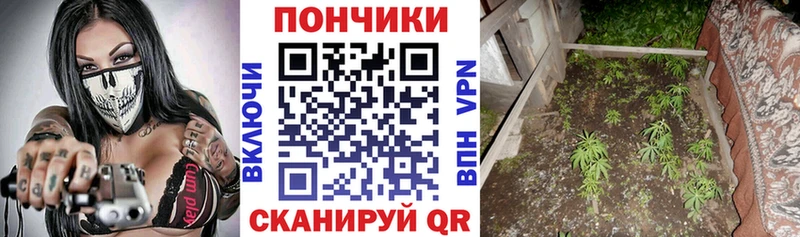 магазин продажи наркотиков  Клин  KRAKEN сайт  Каннабис тримм 